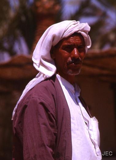 06.jpg - Sinai | Beduine